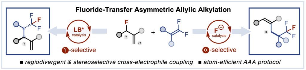 Angew. Chem. Int. Ed. 2025, e20513 doi.org/10.1002/anie.202520513
