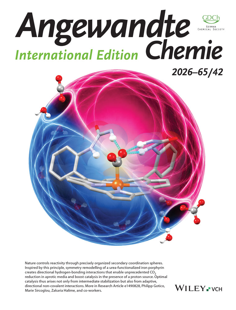 Angew. Chem. Int. Ed. 2026, 65, e8095368